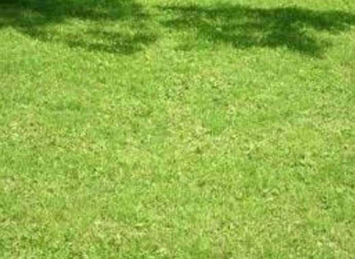 casa indipendente in vendita a Modena in zona Baggiovara