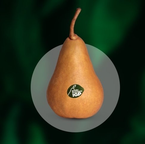 terreno agricolo in vendita a Modena in zona Centro Storico