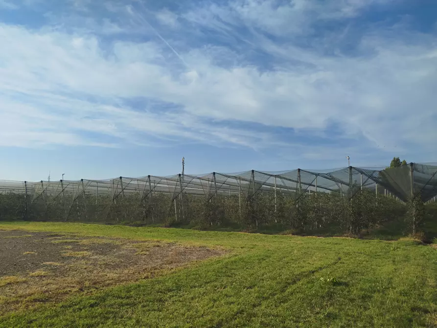 terreno agricolo in vendita a Modena in zona Centro Storico