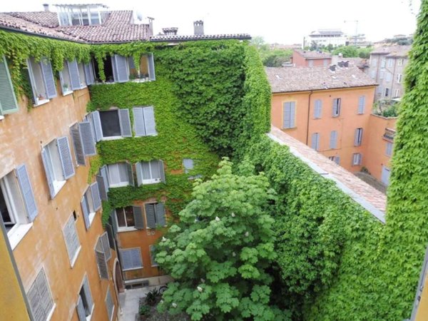 immagine annuncio 0 di 9