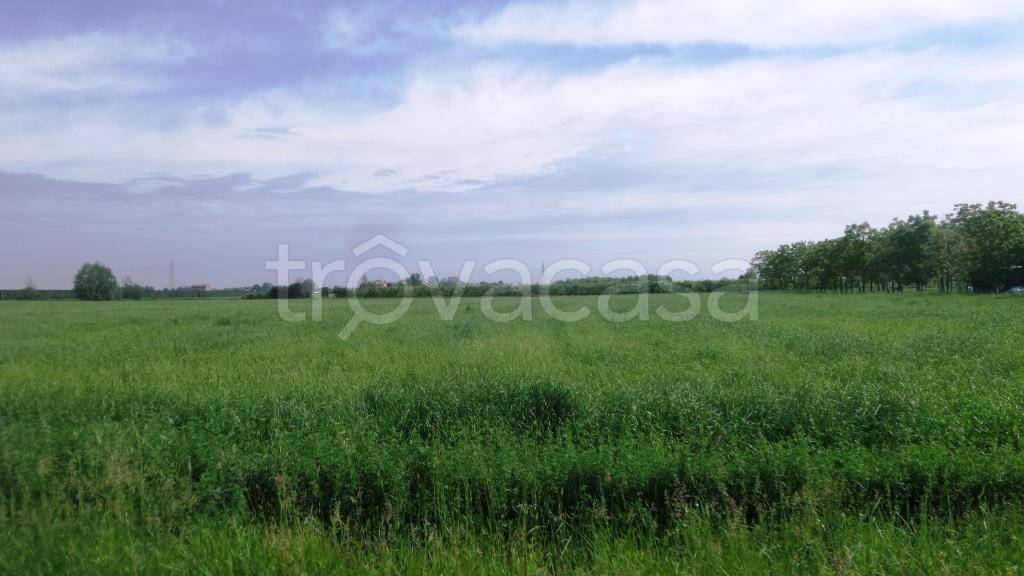 terreno agricolo in vendita a Modena in zona Ganaceto