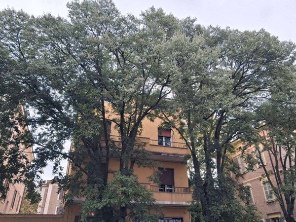appartamento in vendita a Modena in zona Sant'Agnese