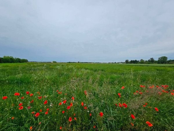 casale in vendita a Modena in zona Villanova