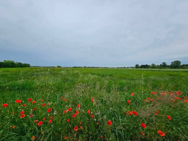 casale in vendita a Modena in zona Villanova