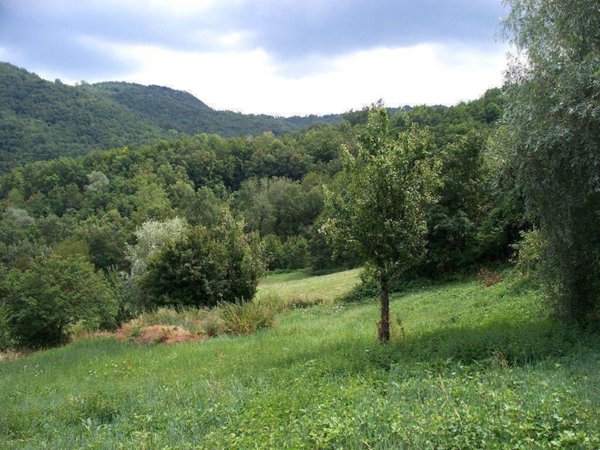 casa indipendente in vendita a Montefiorino