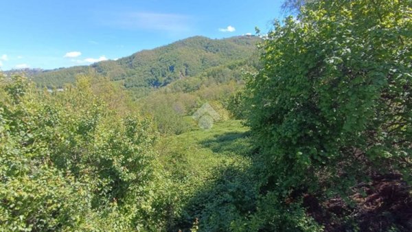 terreno agricolo in vendita a Montefiorino in zona Gusciola