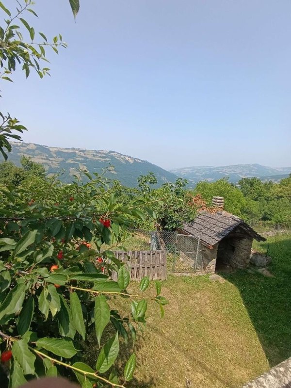 casa indipendente in vendita a Montefiorino in zona Gusciola