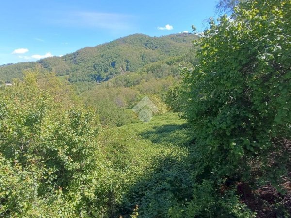 villa in vendita a Montefiorino in zona Gusciola