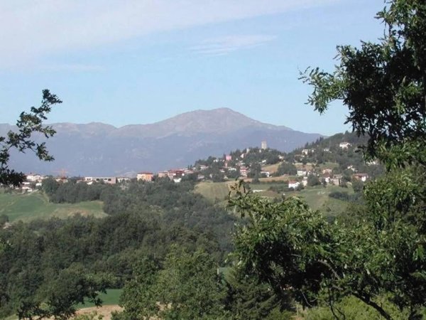 terreno agricolo in vendita a Montese