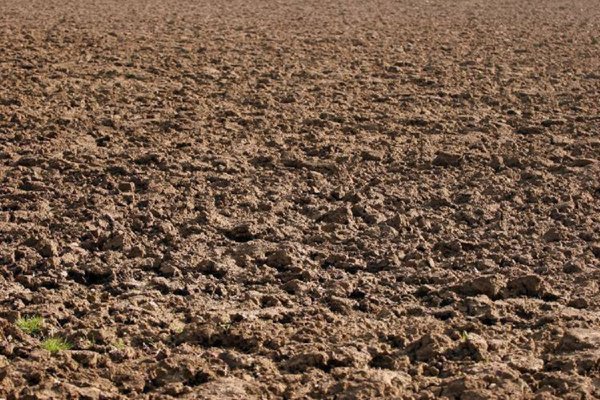 terreno agricolo in vendita a Nonantola