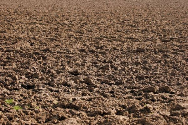 terreno agricolo in vendita a Nonantola