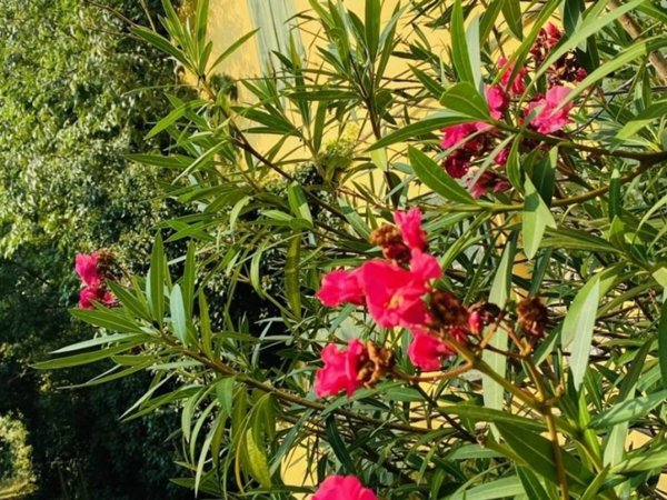 casa indipendente in vendita a Nonantola