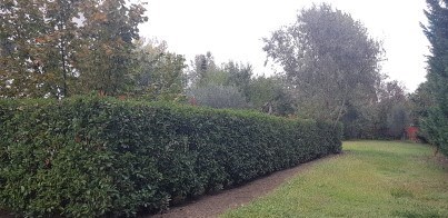 casa indipendente in vendita a Nonantola