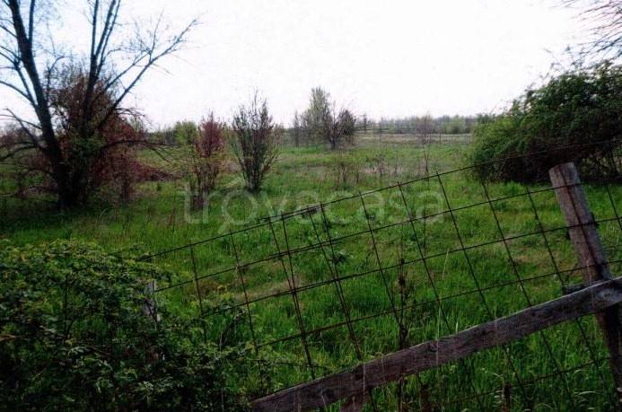 terreno agricolo in vendita a Nonantola