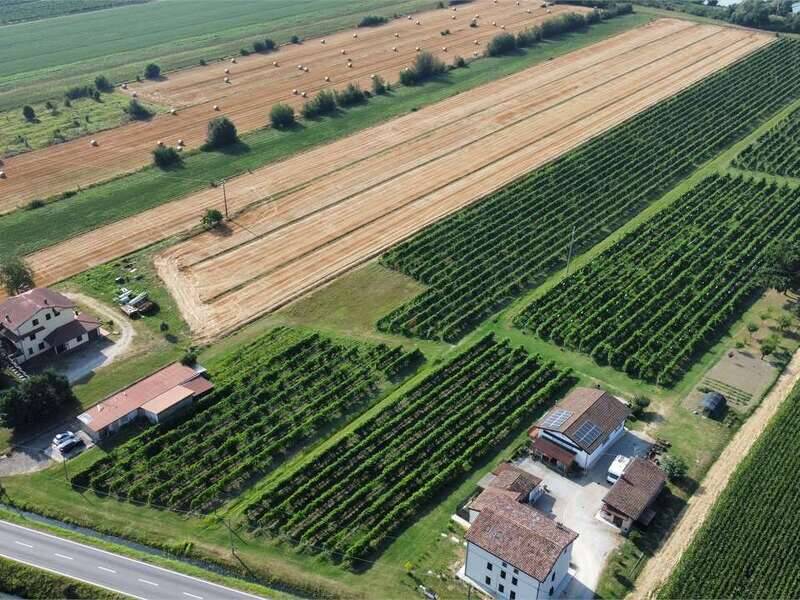 terreno agricolo in vendita a Novi di Modena