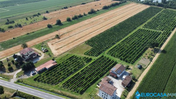 terreno agricolo in vendita a Novi di Modena