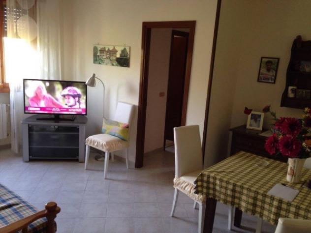appartamento in vendita a Novi di Modena