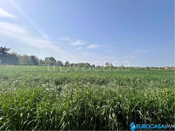 terreno agricolo in vendita a Novi di Modena