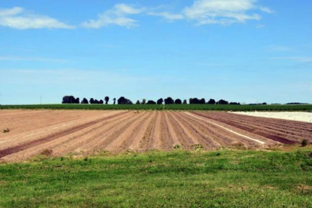 terreno agricolo in vendita a Novi di Modena