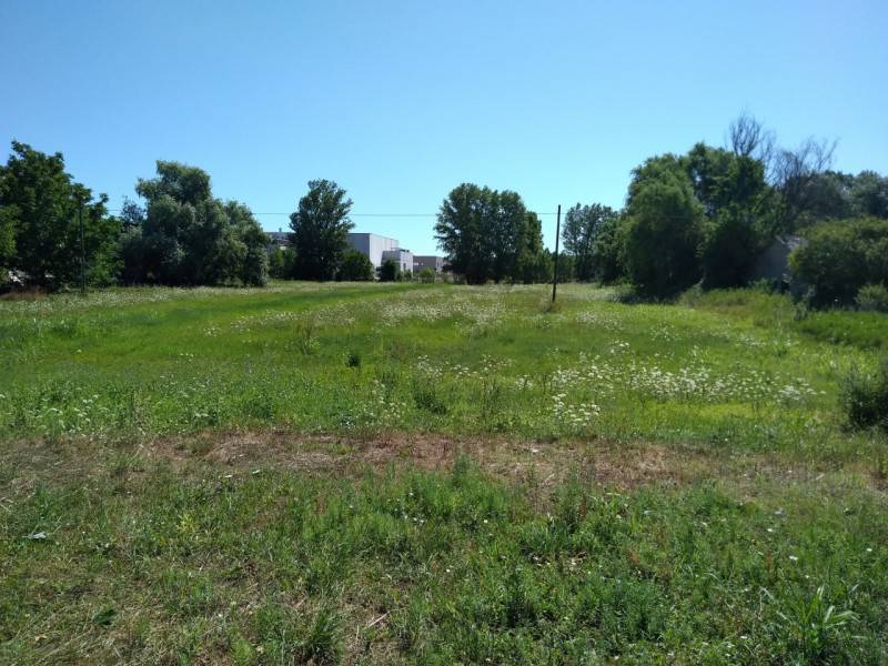 terreno edificabile in vendita a Novi di Modena