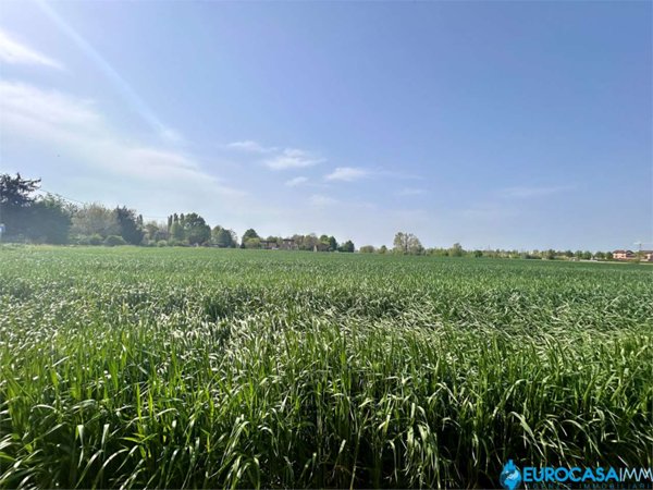 terreno agricolo in vendita a Novi di Modena