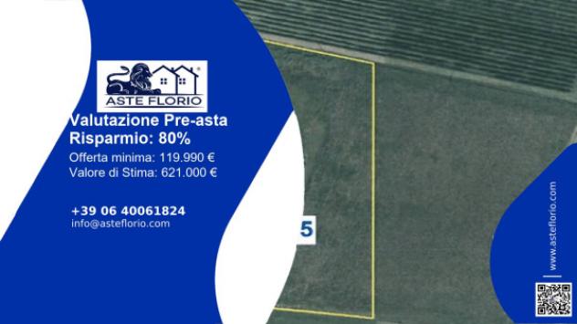 terreno edificabile in vendita a Novi di Modena in zona Rovereto sulla Secchia