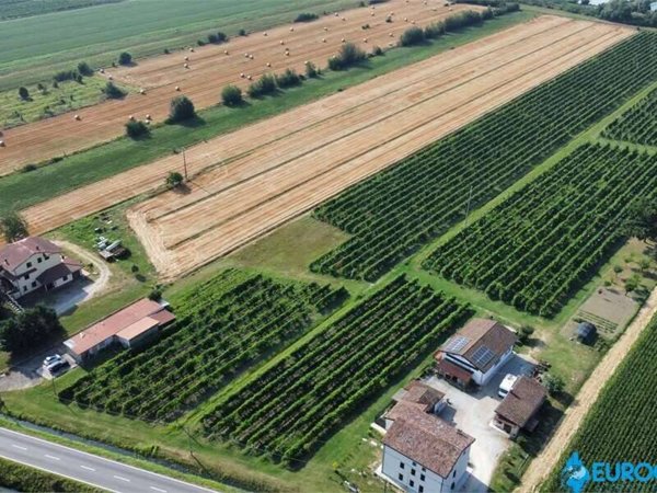 terreno agricolo in vendita a Novi di Modena