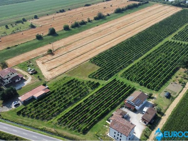 terreno agricolo in vendita a Novi di Modena