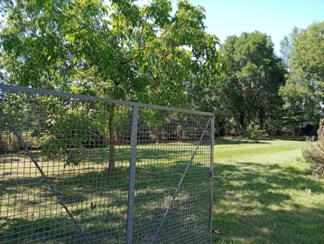casa indipendente in vendita a Novi di Modena in zona Sant'Antonio in Mercadello