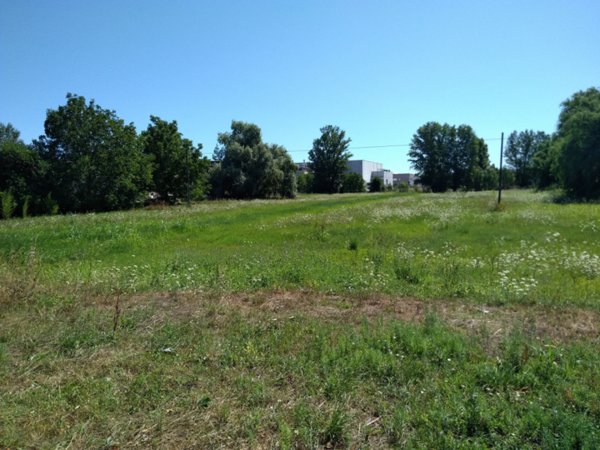terreno edificabile in vendita a Novi di Modena