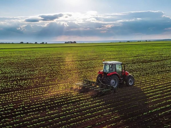 terreno agricolo in vendita a Novi di Modena