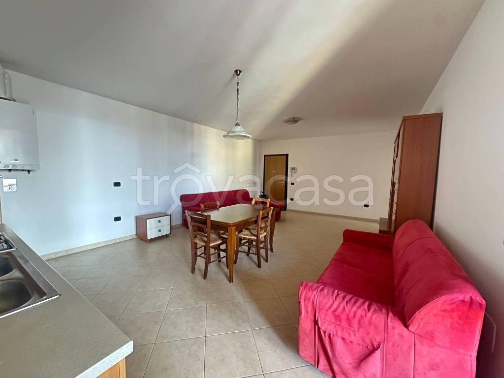 immagine annuncio 0 di 12