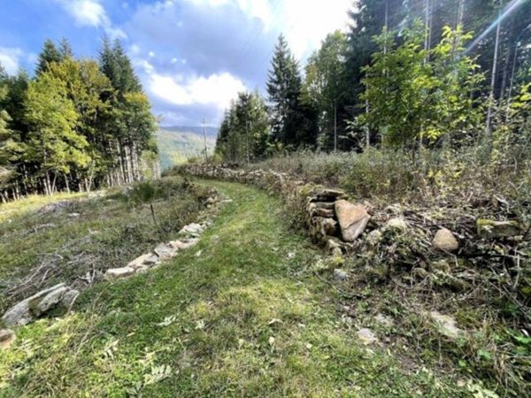 terreno agricolo in vendita a Pievepelago in zona Tagliole