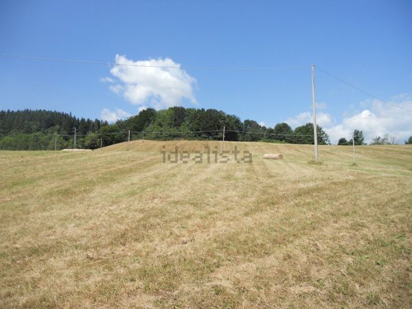 terreno edificabile in vendita a Pievepelago