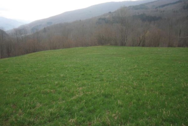terreno edificabile in vendita a Pievepelago in zona Sant'Anna Pelago