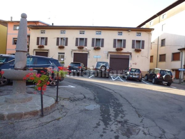 esavano in vendita a Pievepelago in zona Sant'Anna Pelago