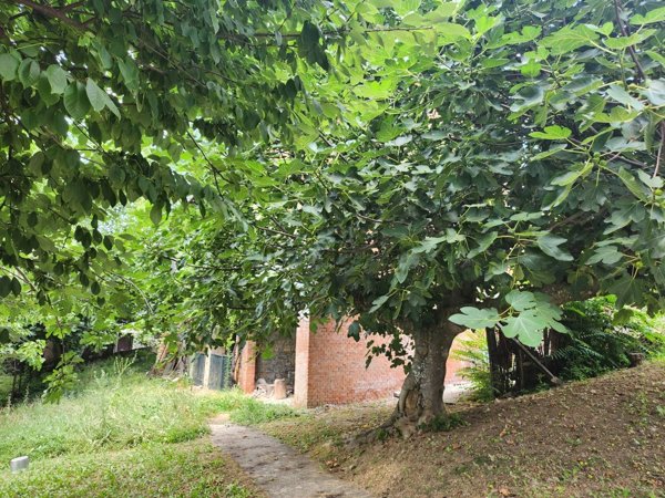 appartamento in vendita a Prignano sulla Secchia in zona Castelvecchio