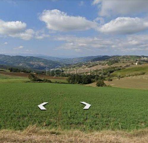 terreno agricolo in vendita a Prignano sulla Secchia
