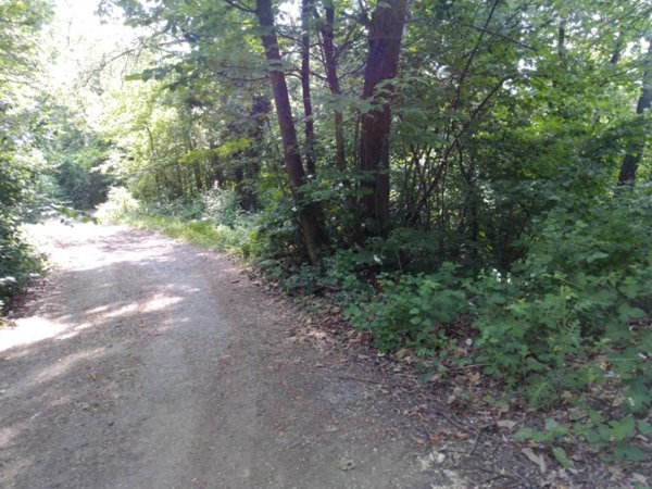 terreno agricolo in vendita a Prignano sulla Secchia