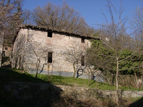 pentavano in vendita a Prignano sulla Secchia in zona Castelvecchio