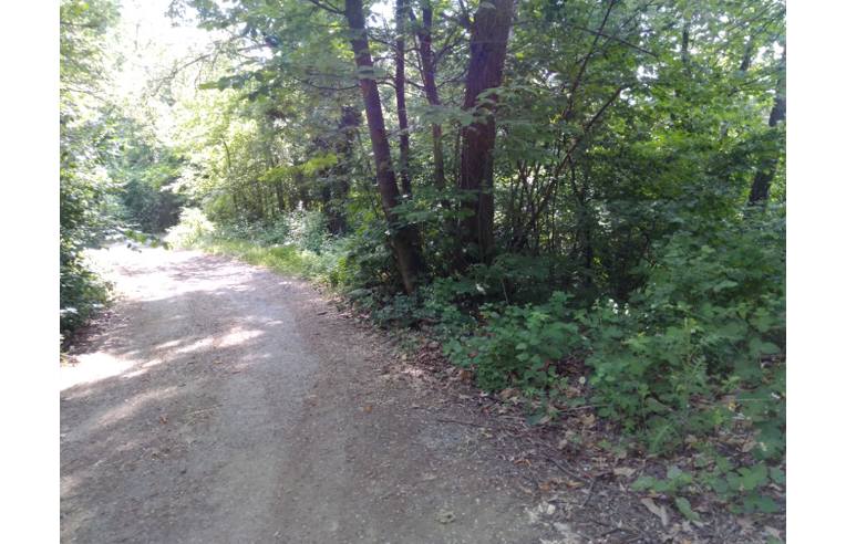 terreno in vendita a Prignano sulla Secchia