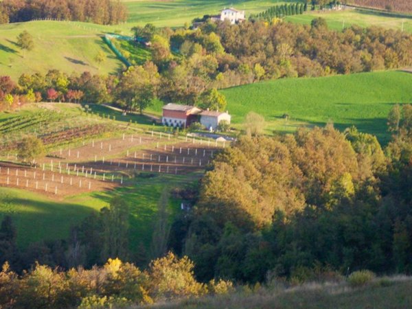 casa indipendente in vendita a Prignano sulla Secchia in zona Pescarola