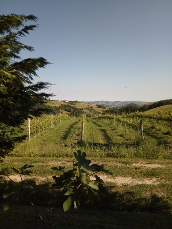 appartamento in vendita a Prignano sulla Secchia in zona Pescarola