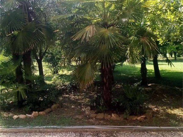 casa indipendente in vendita a Ravarino