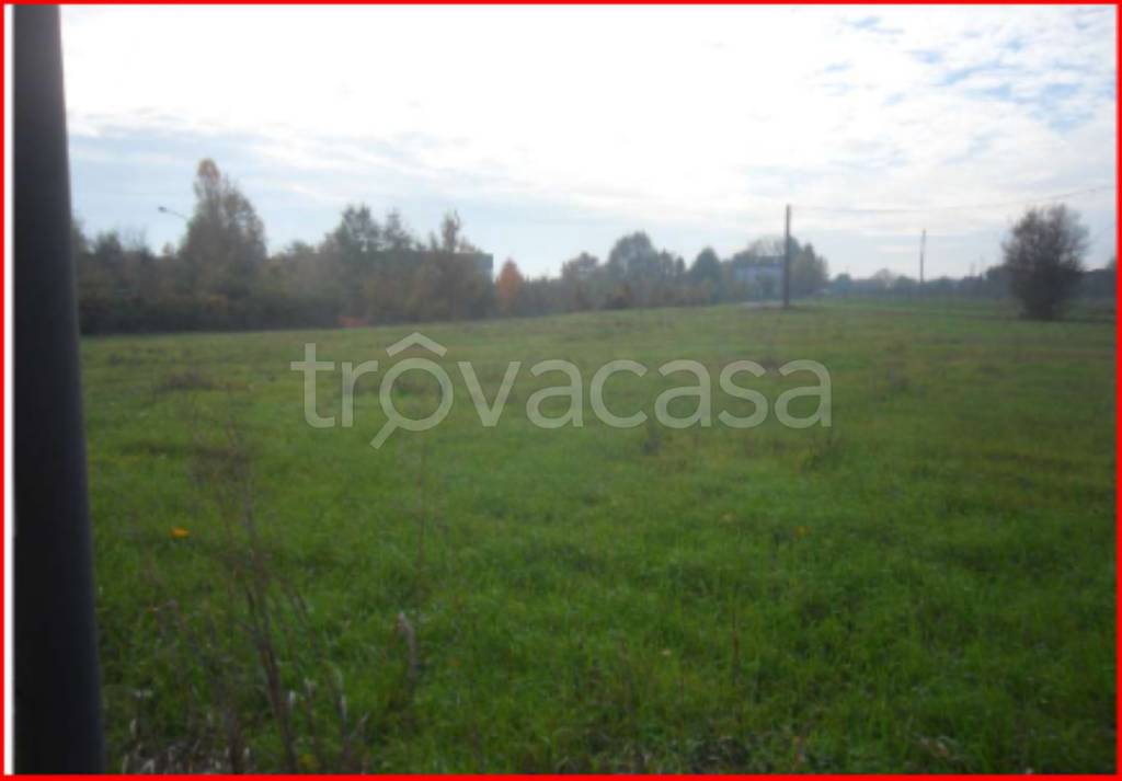 terreno agricolo in vendita a Ravarino