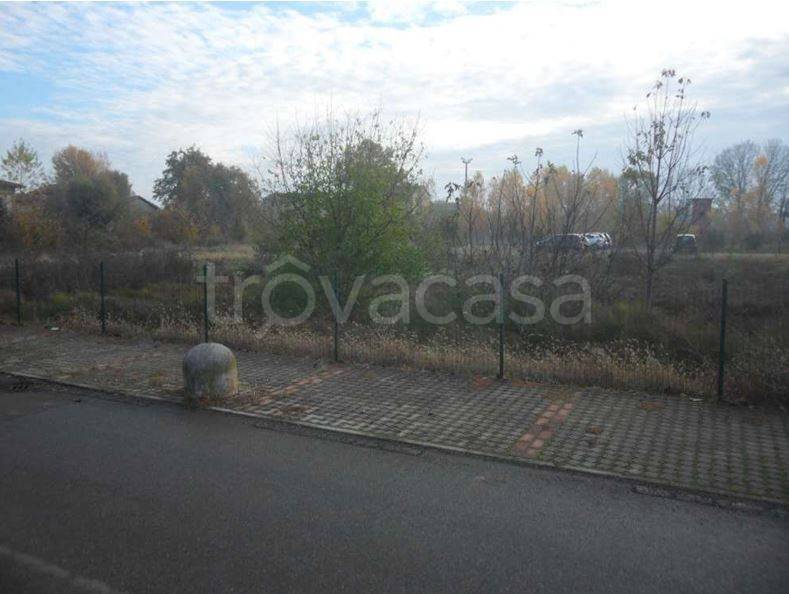 terreno agricolo in vendita a Ravarino