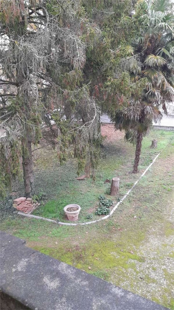 casa indipendente in vendita a Ravarino in zona Rami