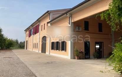 appartamento in vendita a Ravarino in zona Rami