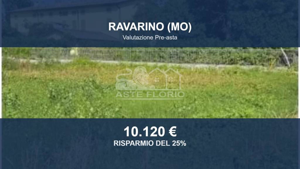 terreno agricolo in vendita a Ravarino in zona Rami