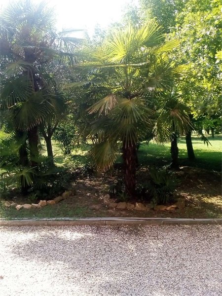 appartamento in vendita a Ravarino